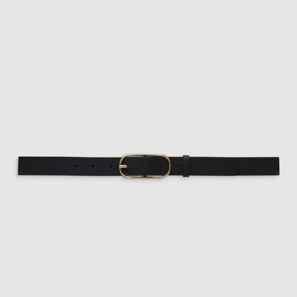 ANINE BING Harper Belt NWOT (XS/S)
